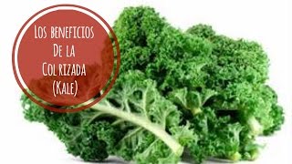 17 Beneficios De La Col Rizada  Kale Nutrivlogs Asesoria Nutricional [upl. by Lettig]