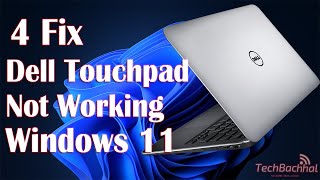 Dell Touchpad Not Working Windows 11  4 Fix [upl. by Golightly]