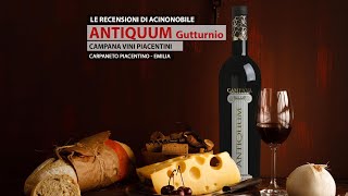 🍇Gutturnio  Antiquum Cantine Campana [upl. by Melamed]