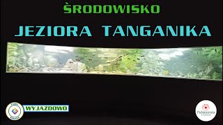 Środowisko Jeziora Tanganika  Palmiarnia Gliwice [upl. by Taryn]