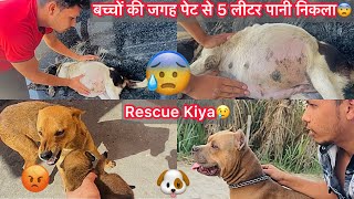 Female K Pet Se Puppies Ki Jagha 5 Leater Water Nikla😰First Time Asa Hota Dekha😱Rescue Dog🐶 [upl. by Ahron325]