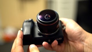 Meike 65mm f2 Circular Fisheye lens review with samples [upl. by Ert775]