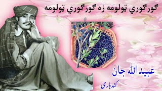 Ubaid ullah jan kandhari  ګورګوري ټولومه زه ګورګوري ټولومه  Pashto music Academy [upl. by Nosemyaj]