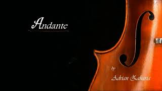 Andante by Adrian Zaharia [upl. by Auqenet69]