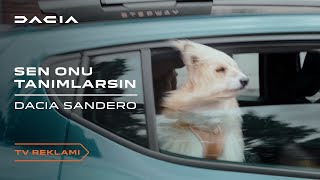 Dacia Sandero Sen Onu Tanımlarsın ​ [upl. by Sral]