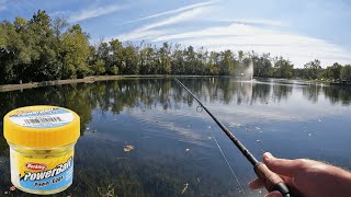 BEST RigSetup for Stocked TROUT in PondsLakes  TIPS [upl. by Aubigny]