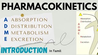 PHARMACOKINETICS  ADME  Introduction to Pharmacokinetics  Tamil  Medmessenger adme [upl. by Tnecillim]