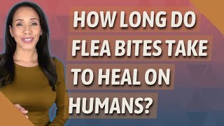 How long do flea bites take to heal on humans [upl. by Dviad733]