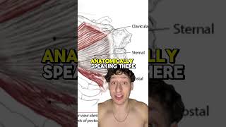 Is the lower chest a myth trending ytshorts short gym fitness chest anatomy [upl. by Hepza265]