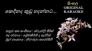 Kedinada Koodu Hadannata  කෙදිනද කූඩු හදන්නටKARAOKE Niranjala SarojiniPremakeerthiStanly Peiris [upl. by Eugenia]