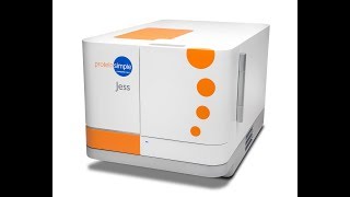 Jess Training Your Protein Analysis Solution For Automated Western Blots [upl. by Damick]