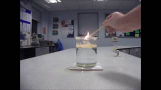 Lycopodium Powder Demonstration [upl. by Ajad841]