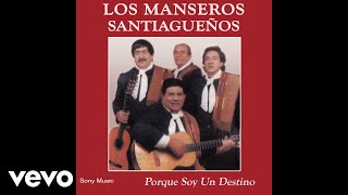 Los Manseros Santiagueños  Amor y Piel Official Audio [upl. by Yevreh]