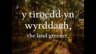 Angel  Tecwyn Ifan geiriau  lyrics [upl. by Ennovart]