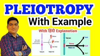 PLEIOTROPY  Principles of Inheritance and Variation pleiotropy genetics [upl. by Naed]