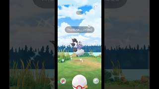 Getting Lucky With✨Shiny Thundurus Raid in pokemongo [upl. by Elicec730]