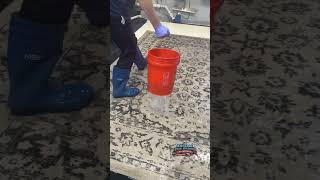 Rug Wash in UNDER 20 SECONDS rugwashing [upl. by Fae]