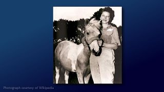 How Misty Made Chincoteague Horses Famous [upl. by Kaye999]