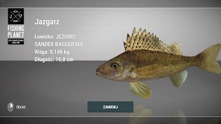 Fishing Planet Sander Baggersee Lake Germany Ruffe Sander  Jazgarz Niemcy fishingplanet jazgarz [upl. by Lindholm]