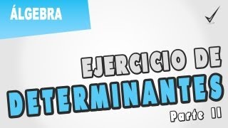 Ejercicio de determinantes  Parte II [upl. by Eirbua]