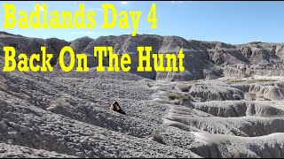 Badlands Fossil Hunting Day 4 Back on the hunt thefinders fossil badlands bones [upl. by Ruthe]