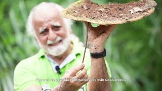 Experiencias en AGRICULTURA ORGÁNICA Orito Putumayo Colombia  Jairo Restrepo Rivera [upl. by Niad]