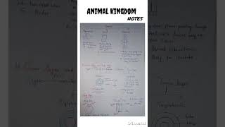 Animal Kingdom class 11  kingdom animalia classification  kingdom animalia class 11  NCERT [upl. by Agn]