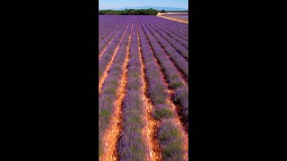 Méditation Apaisante et Relaxation Musique calme au piano relaxante pour méditer lâcher prise [upl. by Mannie914]