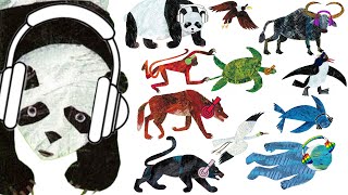 Panda Bear Panda Bear What do you see  Headphones Version  Eric Carle Best Stories for Kids [upl. by Katusha]