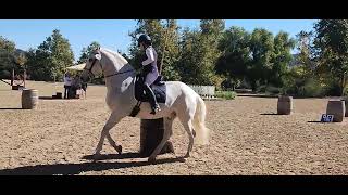 Sarah Pinney  Ease of Handling  El Campeon Working Equitation show day 1  Masters Level 7 [upl. by Skelton]