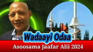 Wadaayi Odaa Asoosama Jaafar Alii 2024 [upl. by Malissa]