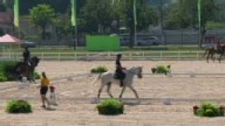 No risk of glanders at Olympic equestrian [upl. by Wilser]