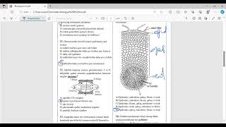 RFO 8 sinif Biologiya 2023 [upl. by Keary]