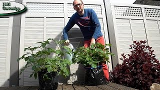 Gartentipp März 0317 Kartoffeln im Sack für Balkon Terasse und Garten [upl. by Tucky]