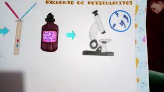 Recuento de reticulocitos [upl. by Aled]