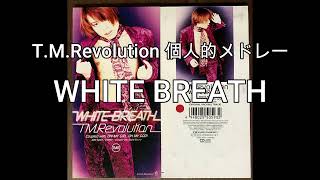 T M Revolution 個人的メドレー [upl. by Mitchiner]