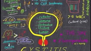 Cystitis Review in 4 minutes All you need to know [upl. by Elizabeth405]