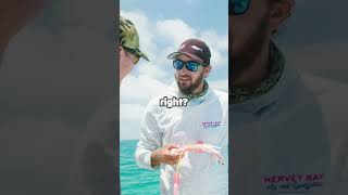 Teaser Techniques for Catching Marlin Explained  Unlock the Secrets of Marlin Fishing [upl. by Yanehs]