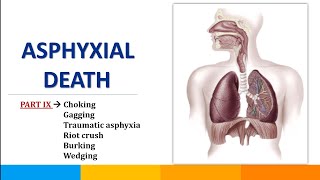 Part11  BurkingWedgingPerthes SyndromeCafe Coronary SyndromeAsphyxial Death  ‎SavvyForensics [upl. by Analart]