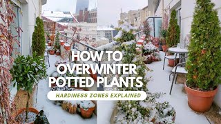 TOP 10 Tips For Overwintering Potted Plants [upl. by Ihcehcu807]