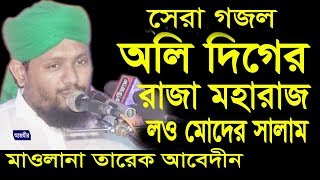 অলি দিগের রাজা মহারাজ  Mawlana Tareq Abedin  Beautiful Naat  Islami Gojol  2018 [upl. by Tnahsin]