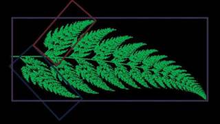 A Fractal Journey Into the Infinite The Barnsley Fern [upl. by Rubinstein]