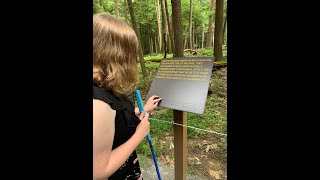 Cook Forest Sensory Trail [upl. by Adiell710]