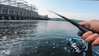 Dam Fishing for LOADED Striped Bass Striper Fishing  East Coast EP3 [upl. by Yelda683]