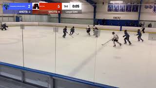 14U Columbus Cottonmouths Live Stream [upl. by Boorer900]