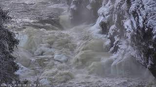 Oulanka Live Webcam Live Stream [upl. by Jeffrey]