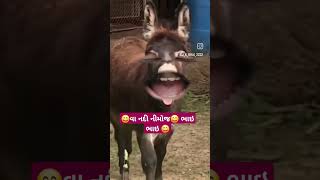 વા નીમૉજ ભાઇ ભાઇ gujrati comedy funny viral shots family video 😄😄😄🙏🙏🙏 [upl. by Ahsaek669]