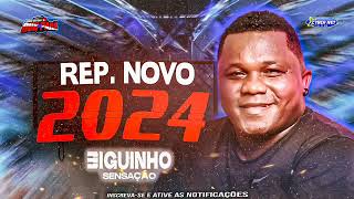 BIGUINHO SENSAÇÃO 2024 BIGUINHO SERESTA 2024 MÚSICAS NOVAS ARROCHA BIGUINHO 2024 biguinhosensacao [upl. by Socin]