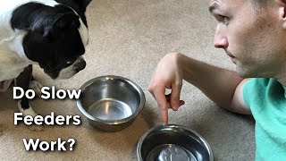 Stainless Steel Slow Feeder Dog Bowl😍 slowfeeder [upl. by Assenna]