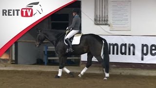 VorwärtsAbwärts mit dem jungen Pferd  Jean Bemelmans in Hannover Teil 1b  Die Alten Meister [upl. by Donaghue294]